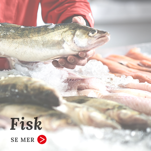 fisk-2-600x600