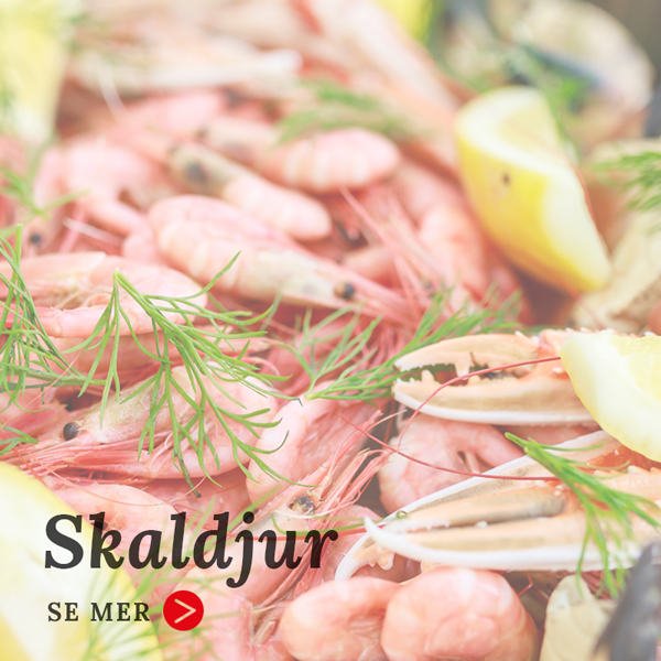 skaldjur-600x600